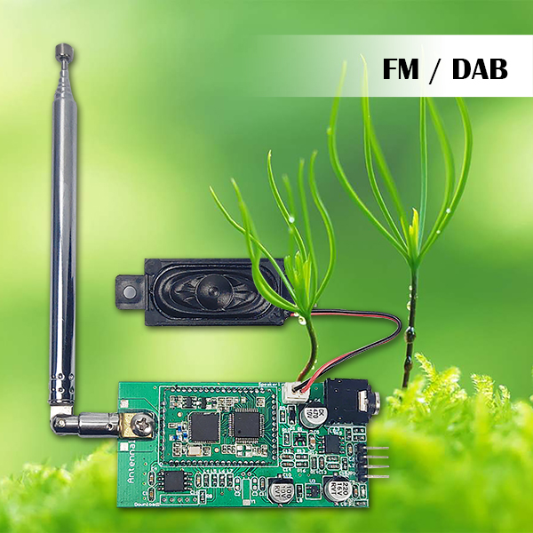 FM / DAB module - DB012